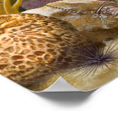 Barracudas over koraalrif poster (Hoek)