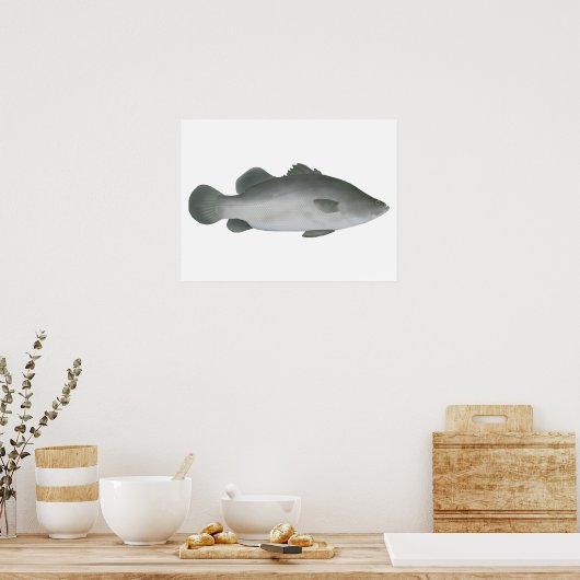 Barramundi Poster (Keuken)