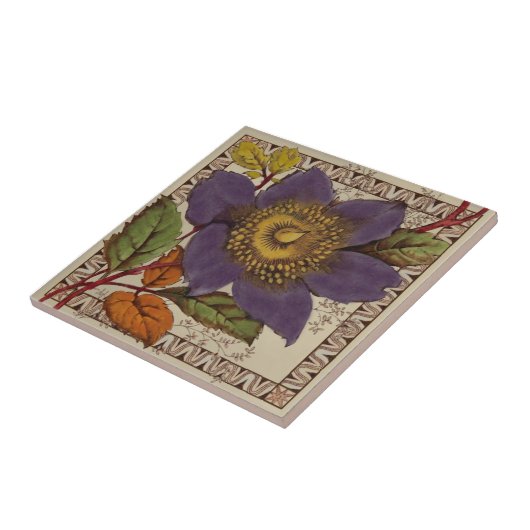 Barratt Paarse Peony Victoriaans Transferware Repr Tegeltje (Zijkant)