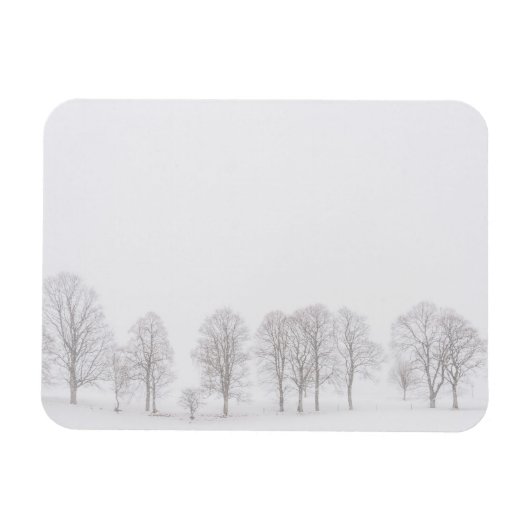 Barre bomen in sneeuw witte wereld rechthoek magne magneet (Horizontaal)