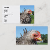 Barred Frizzle Chicken Visitekaartje (Voorkant / Achterkant)