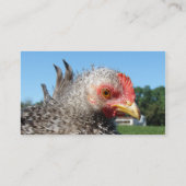 Barred Frizzle Chicken Visitekaartje (Achterkant)