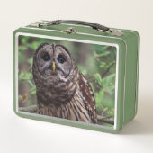 Barred Owl (Voorkant)