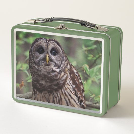 Barred Owl (Voorkant)