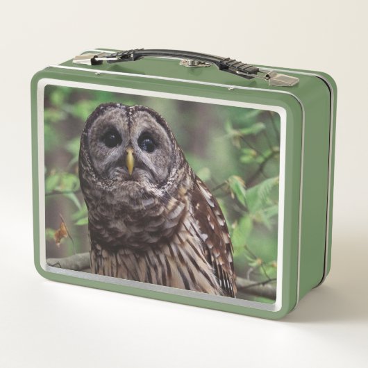 Barred Owl (Achterkant)
