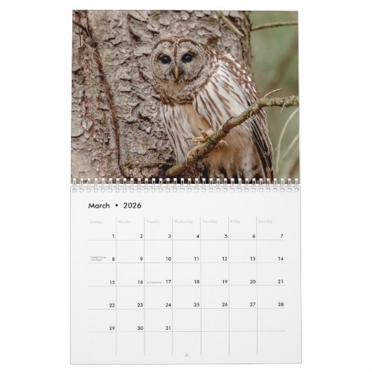 Barred Owl 2026 Kalender (Mar 2026)