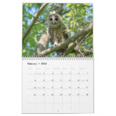 Barred Owl 2026 Kalender (Feb 2026)