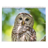 Barred Owl 2026 Kalender (Hoes)