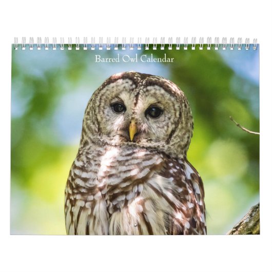 Barred Owl 2026 Kalender (Hoes)