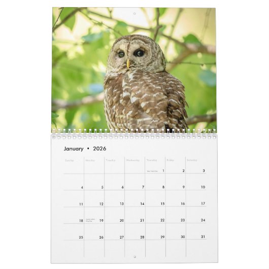 Barred Owl 2026 Kalender (Jan 2026)