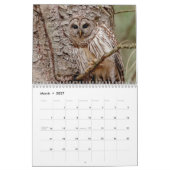 Barred Owl 2026 Kalender (Mar 2027)