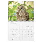Barred Owl 2026 Kalender (Jan 2027)