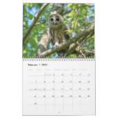 Barred Owl 2026 Kalender (Feb 2027)