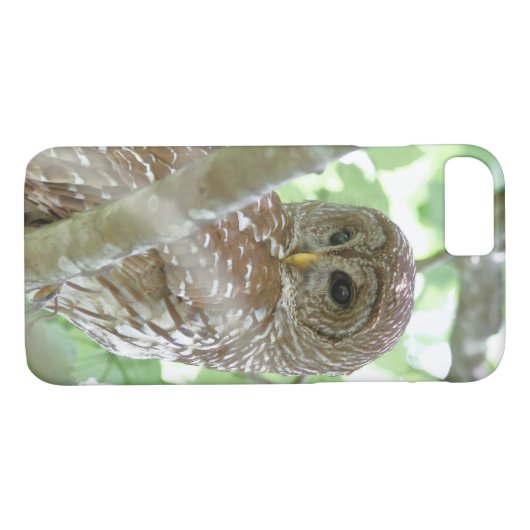 Barred Owl Apple iPhone 7 Hoesje (Achterkant (Horizontaal))