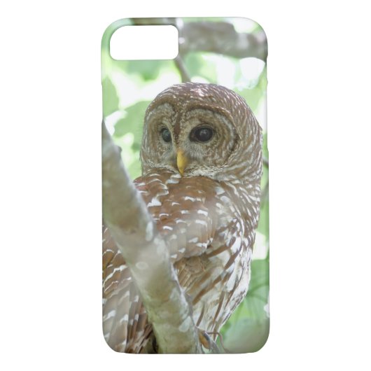Barred Owl Apple iPhone 7 Hoesje (Achterkant)