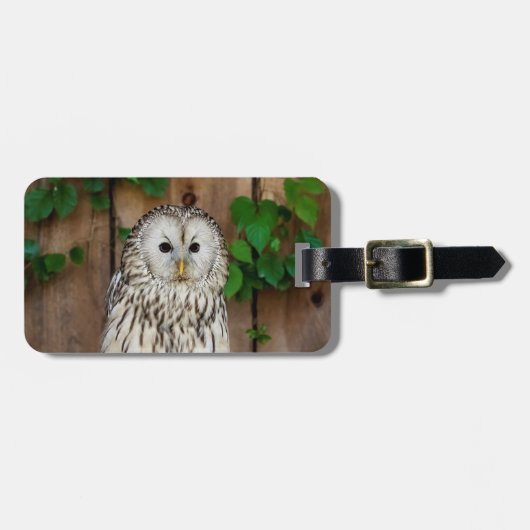 Barred Owl Bagagelabel (Voorkant horizontaal)