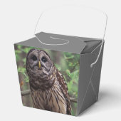 Barred Owl Bedankdoosjes (Voorkant)