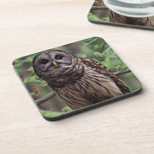 Barred Owl Beverage Coaster Bier Onderzetter (Linkerzijde)