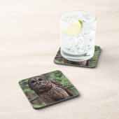 Barred Owl Beverage Coaster Bier Onderzetter (Rechterzijde)
