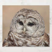 Barred Owl Bier Etiket (Enkel label)