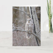 Barred Owl Bird Wildlife Blank Notecard Bedankkaart (Voorkant)