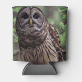 Barred Owl Blikjeskoeler (Voorkant)
