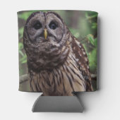 Barred Owl Blikjeskoeler (Achterkant)