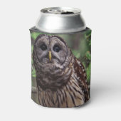 Barred Owl Blikjeskoeler (Blikje Achterkant)