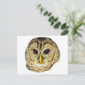 Barred Owl Briefkaart (Staand voorkant)