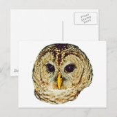 Barred Owl Briefkaart (Voorkant / Achterkant)