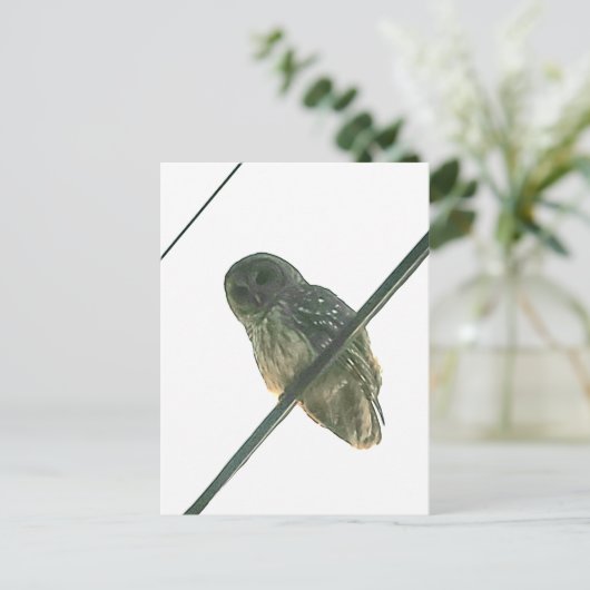 Barred Owl Briefkaart (Staand voorkant)