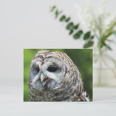 Barred Owl Briefkaart (Staand voorkant)