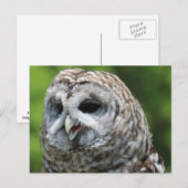 Barred Owl Briefkaart (Voorkant / Achterkant)