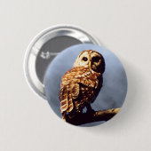 Barred Owl Button (Voorkant /achterkant)