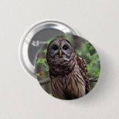 Barred Owl Button (Voorkant /achterkant)
