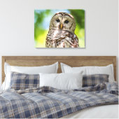 Barred Owl Canvas Afdruk (Insitu (Slaapkamer))