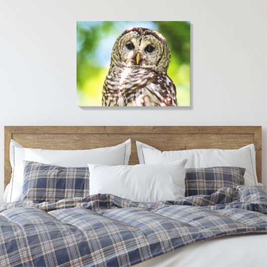 Barred Owl Canvas Afdruk (Insitu (Slaapkamer))