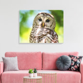 Barred Owl Canvas Afdruk (Insitu (Woonkamer))