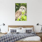 Barred Owl Canvas Afdruk (Insitu (Slaapkamer))