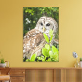 Barred Owl Canvas Afdruk (Insitu (Woonkamer))