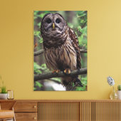Barred Owl Canvas Afdruk (Insitu (Woonkamer))