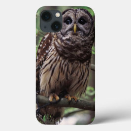Barred Owl Case-Mate iPhone Case