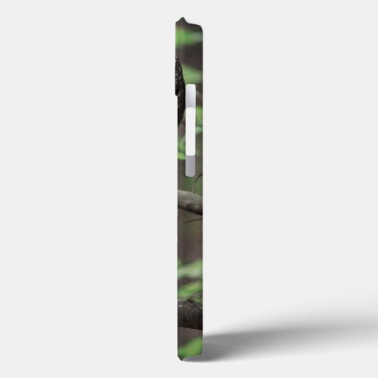 Barred Owl Case-Mate iPhone Case (Achterkant / Links)