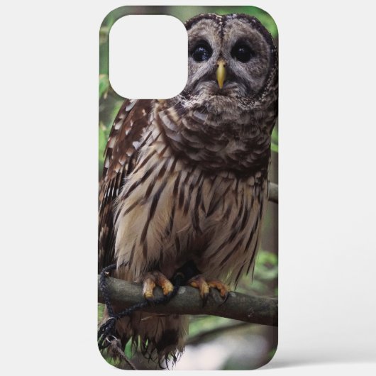 Barred Owl Case-Mate iPhone Case (Achterkant)