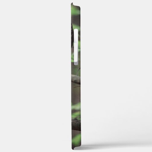 Barred Owl Case-Mate iPhone Case (Achterkant / Links)