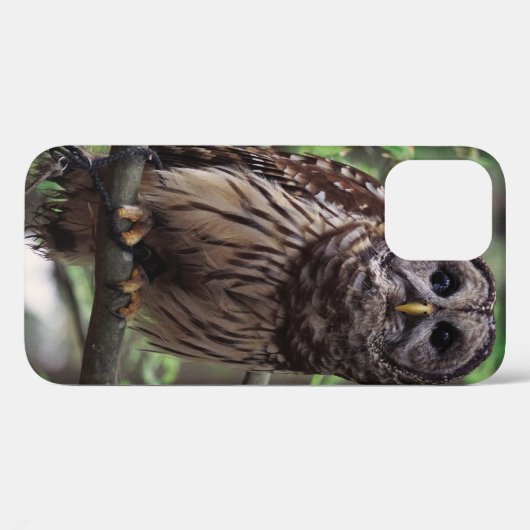 Barred Owl Case-Mate iPhone Case (Achterkant (horizontaal))