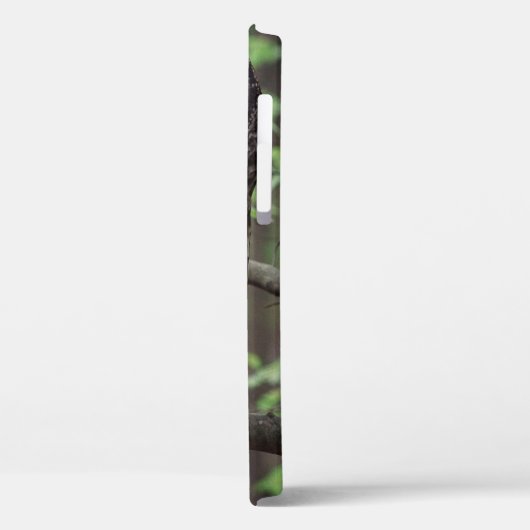 Barred Owl Case-Mate iPhone Case (Achterkant / Links)