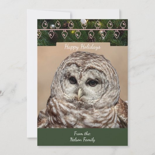 Barred Owl Christmas Kaart (Voorkant)