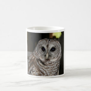 Barred Owl Coffee Mok