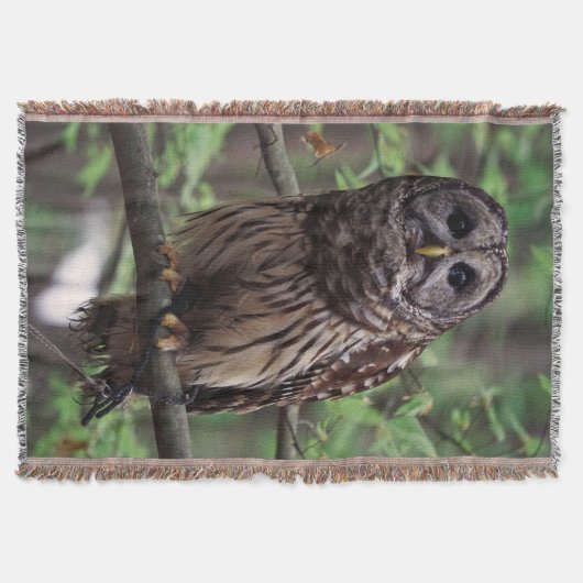 Barred Owl Deken (Voorkant)